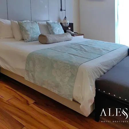 Alesia - Boutique Hotel & Spa-2