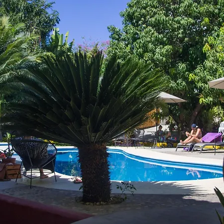 Casa Losodeli & Coworking- Adults Only-3