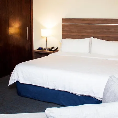 Holiday Inn Express Culiacan By Ihg-3