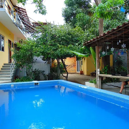 Paziflora Hostel -Starlink--3