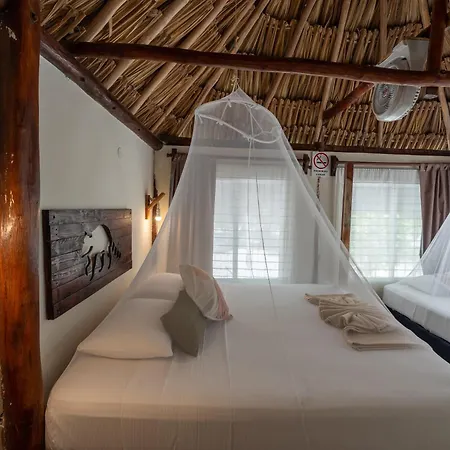 Hotel Cielo y Selva-2