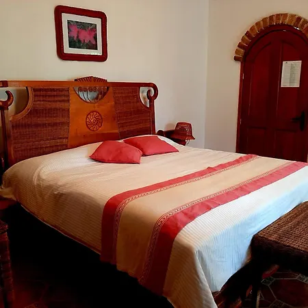 Mango Selva Bio Hotel-3