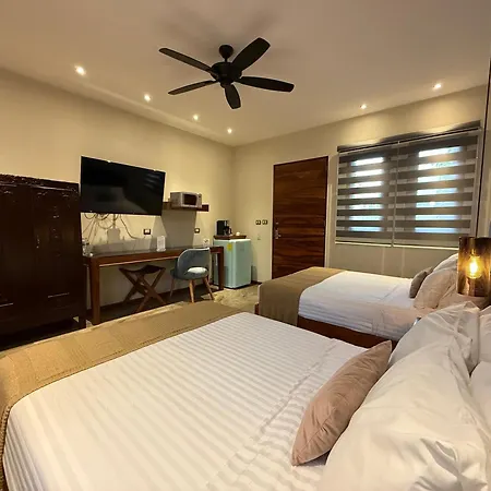 Hotel Arista 1026-3