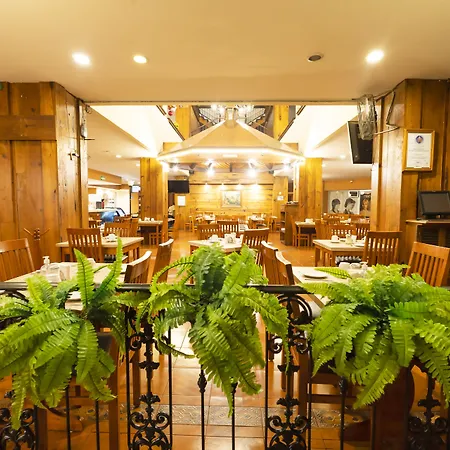 Plaza Uruapan Hotel-3