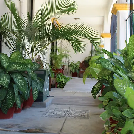 Hotel Arrecife Huatulco Plus-3