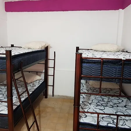 Hostel Vallarta (Adults Only)-3