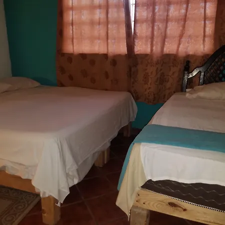 Hostal Enjoy Vallarta 19-3