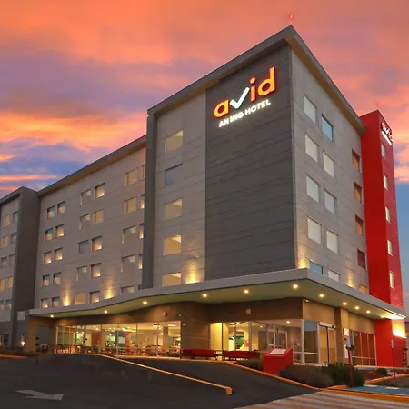 Avid Hotel - Fresnillo By Ihg-3