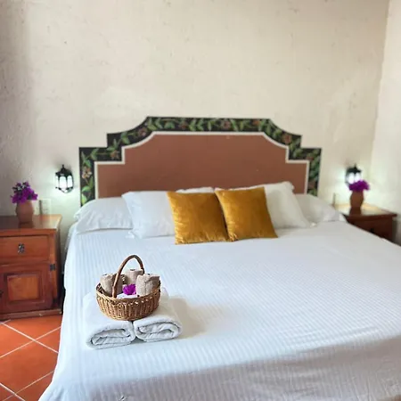 Posada Ali-2