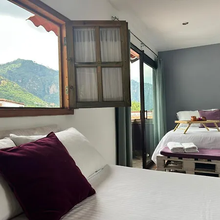 Posada Ali-3