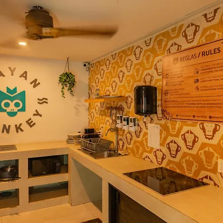 Mayan Monkey Tulum - Social Hostel (Adults Only)-3