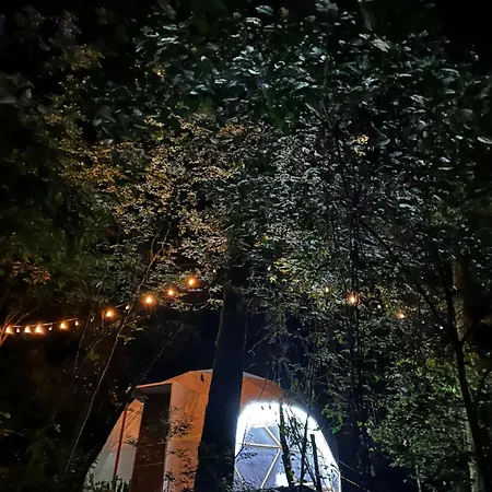 Mandala Camp-3