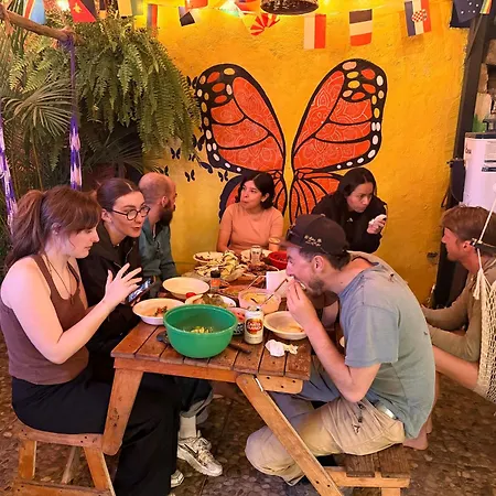 Hostal el Alebrije-2