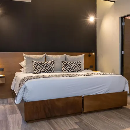 Esplendor by Wyndham San Luis Potosi Monarca-3