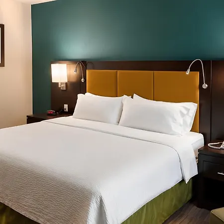 Holiday Inn Tampico-Altamira, an IHG Hotel-2