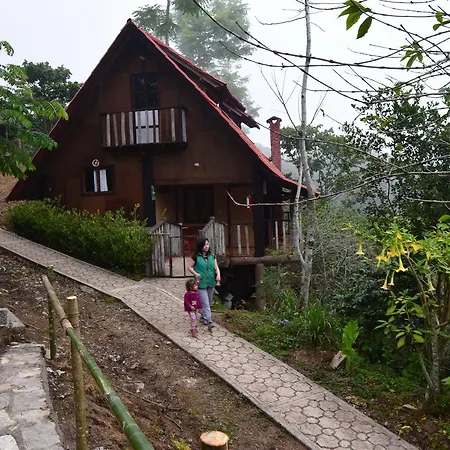 Cabañas los Cedros-3