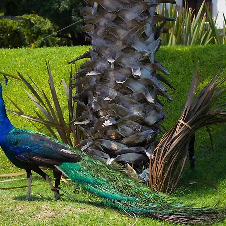 Jardín Cerritos Xochitepec-2