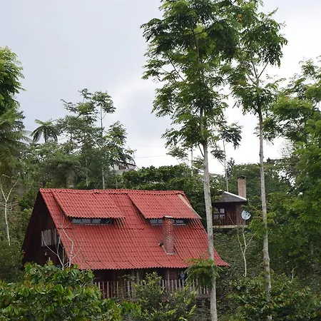 Cabañas los Cedros-2