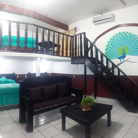 Hotel Falcon-3