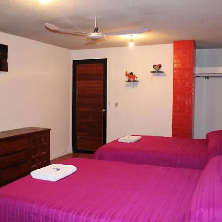 Hotel Frida Khalo-3