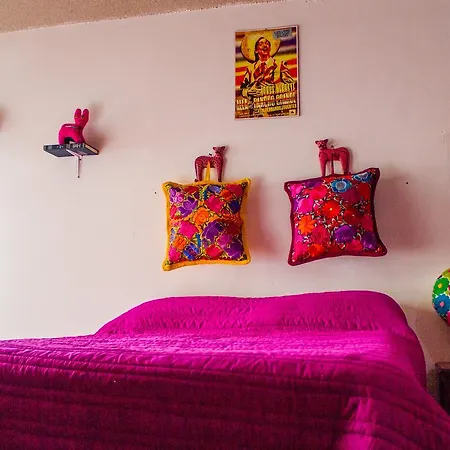 Hotel Frida Khalo-2