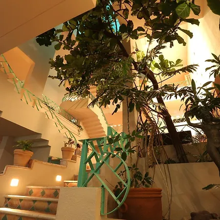Hotel Las Rosas & Spa-2