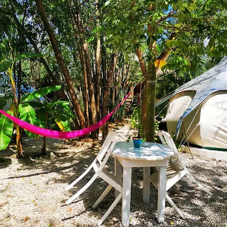Harmony Glamping Boutique Hotel And Yoga-3
