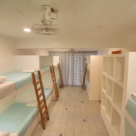 Paziflora Hostel -Starlink--2