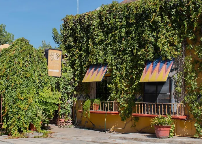 Hotel Huizache