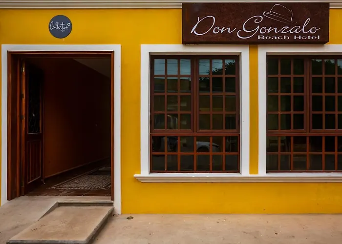 Hotel Beach Don Gonzalo