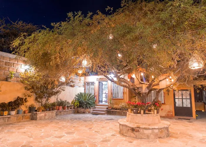 Casa Del Arbol