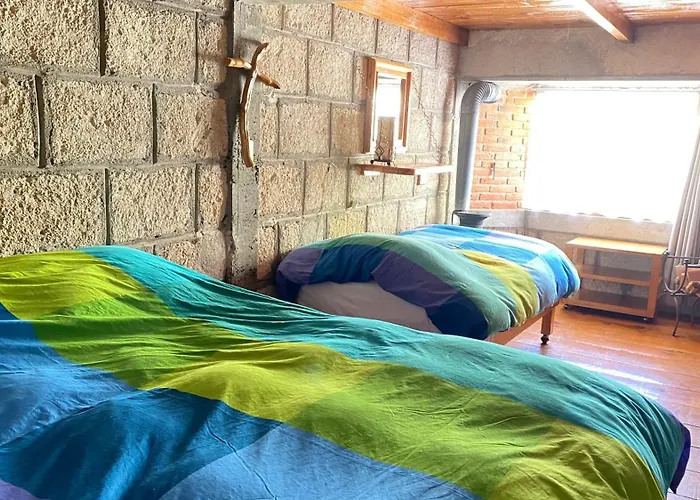 5 Pinos