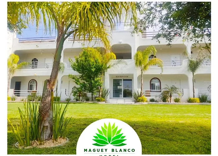 Hotel Maguey blanco