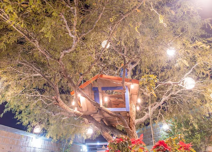 Casa Del Arbol