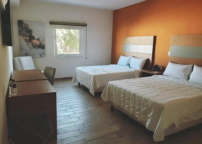 Hotel Plaza Allende