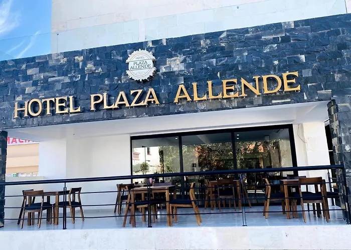 Hotel Plaza Allende