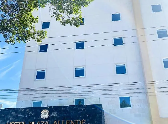 Hotel Plaza Allende