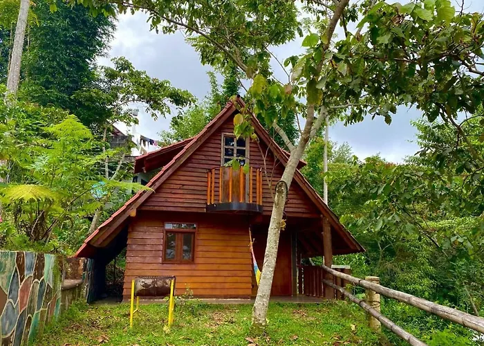 Cabañas los Cedros
