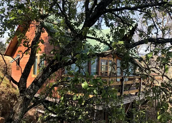 Woodland Cabins Santa Ana Jilotzingo