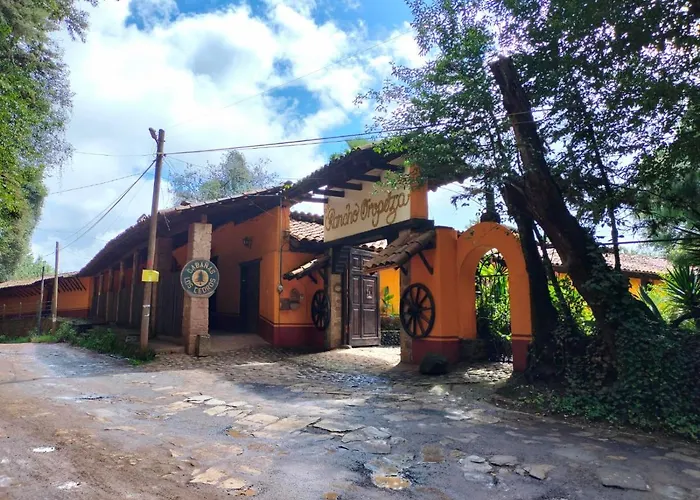 Y Habitaciones Los Cedros