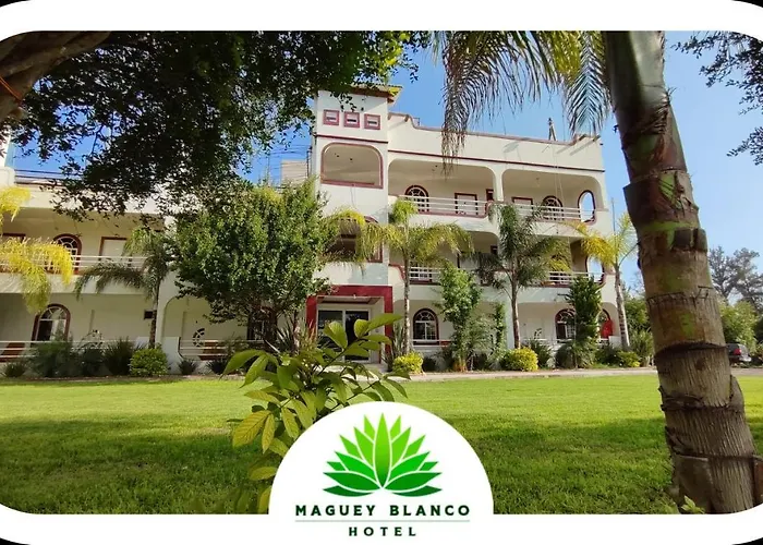 Hotel Maguey blanco