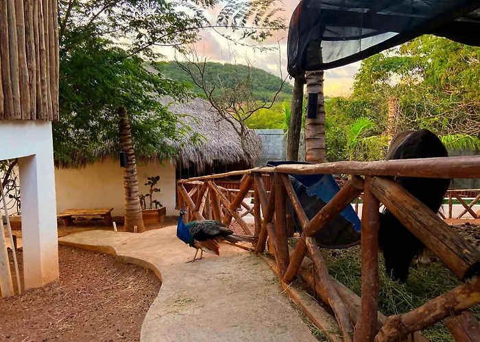 Palm Valley Cabins Mazatlán