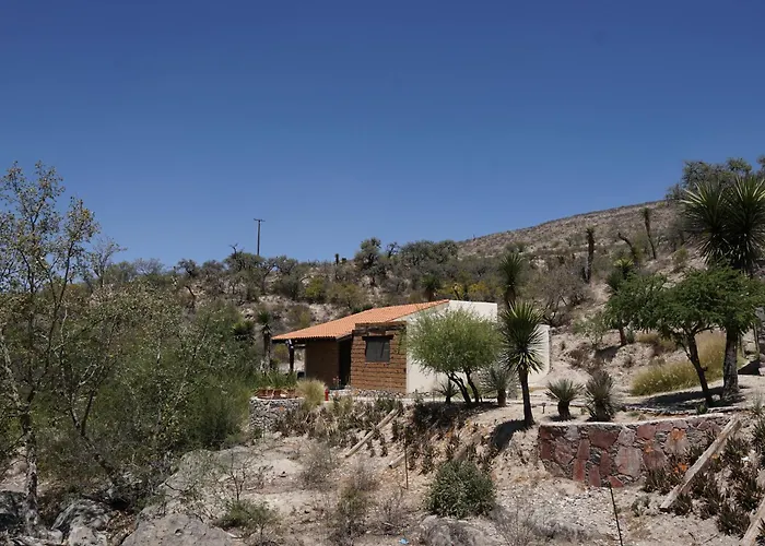 Hotel Armadillo Mágico