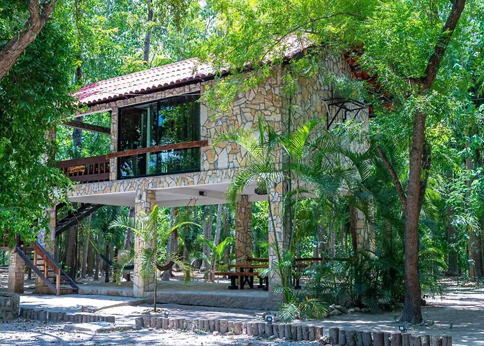 Cabañas Bosque Tantocob Ciudad Valles