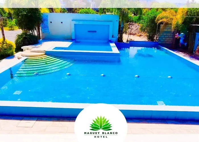 Hotel Maguey blanco