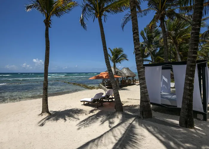 Hidden Beach Resort Au Naturel Adults Only, All & More Inclusive Akumal