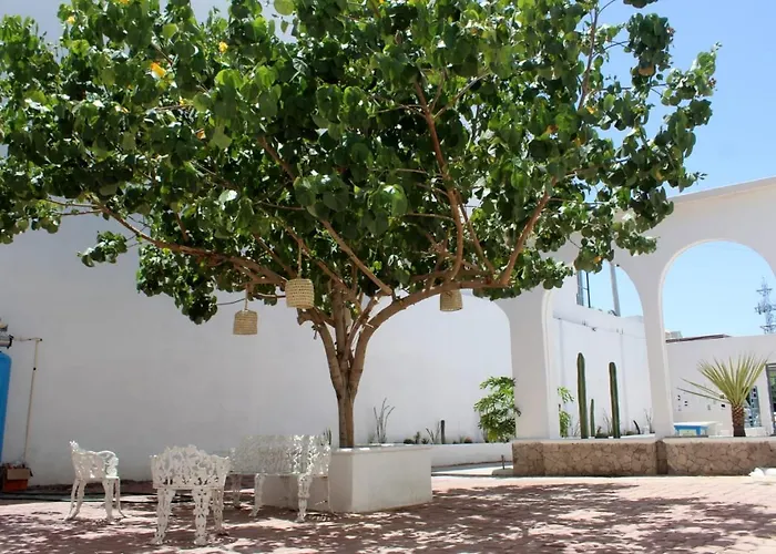 Casa Hidalgo