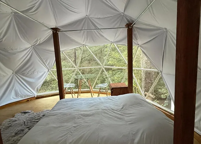 Mandala Camp