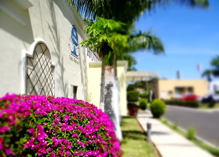 Hotel Las Palomas Express