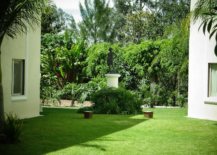 Hotel Las Palomas Express